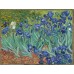 Модульная картина Винсент Ван Гог «Ирисы» из 2 холстов 100x50