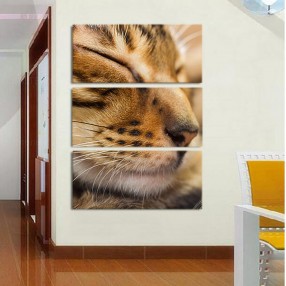 Модульная картина Кот из 3 холстов 90x100