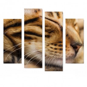 Модульная картина Кот из 4 холстов 100x90